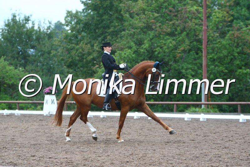 109M1151_Da Caprio_Dressur S_St. Georg.JPG